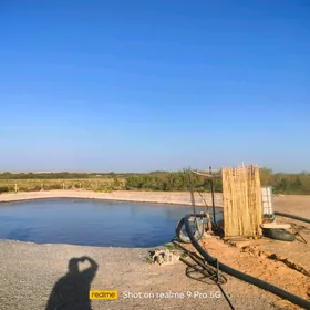 Miweli Bahlar Pisdaşke mindal