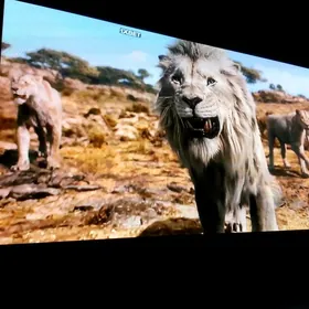 Плазменный телевизор LG 42