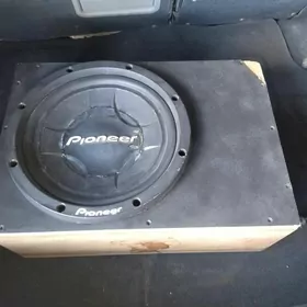 pioneer kalonka