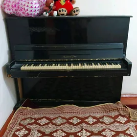 pionina