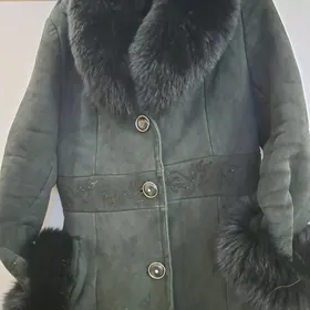 пальтолар