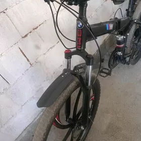 BMW tigir