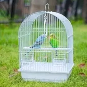 попугай popugay guslar