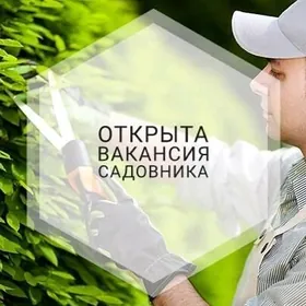 ‍требуется садовник/bagban