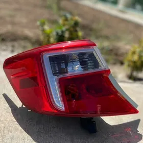 PALTA STOP YZ FARA Amerikanka