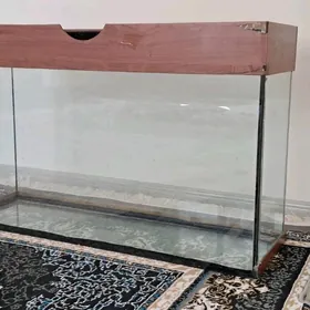 Аквариум Akwarium