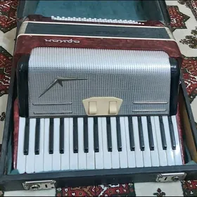 akkardion  аккардион