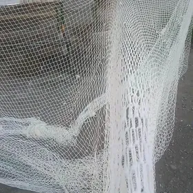 Сузме тор, бреден