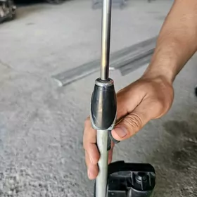 Babycga yz antena morda