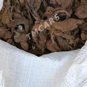 Düýe ýüñi,Верблюжи шерст