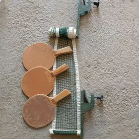 tenis