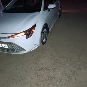 Toyota Corolla 2019