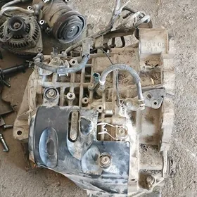 5skor karopka 13fiska