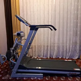 Begawoy daroska TecnoOMA