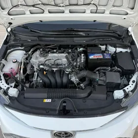 Korolla 21-23vozduhomer