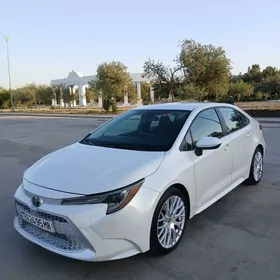 Toyota Corolla 2020