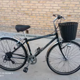 27 goni rama