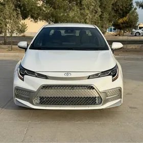 Toyota Corolla 2021