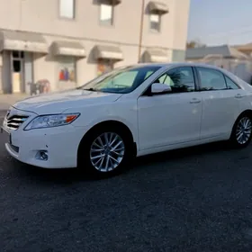 Toyota Camry 2010