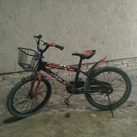 welik 20lik