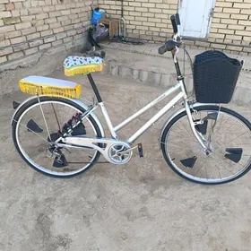 weylik 27