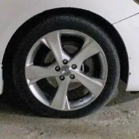 teker disk