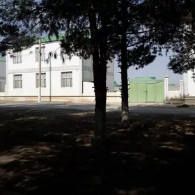 GÖKDEPE KATTEŽ