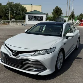 Toyota Camry 2019