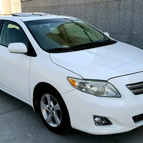 Toyota Corolla 2010