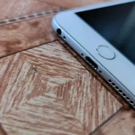 iPhone 6+