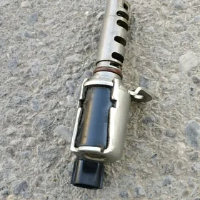 wanus daçik