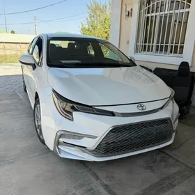 Toyota Corolla 2023