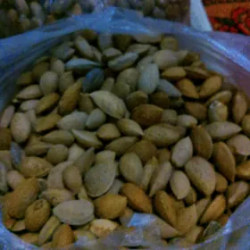 Mindal