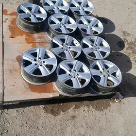 okuz kelle disga R16