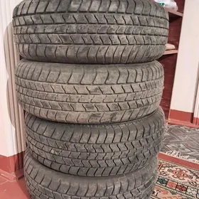 lada tigir tungal