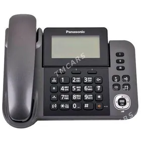 Panasonic