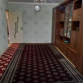 satlyk jay janga