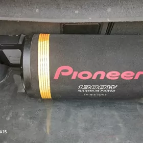 pioner