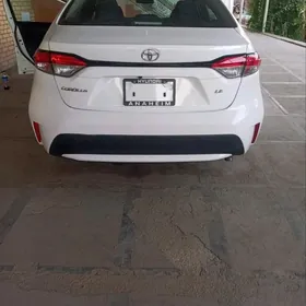 Toyota Corolla 2021