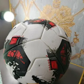 FIFA RRO