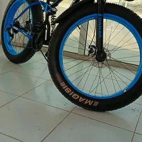 welsoped welik