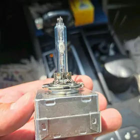 philips original kia blijni