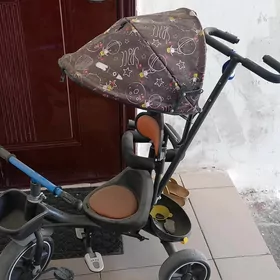Tigir Caga zontikli