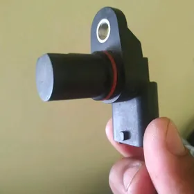 saýipa Tiba daçik implus