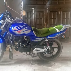 Fekon FK150-8G 2024