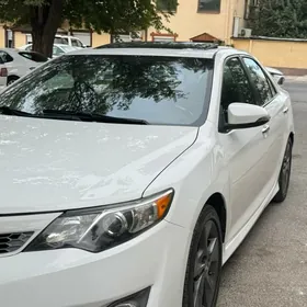 Toyota Camry 2013