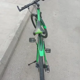 Turkmenistan tigir