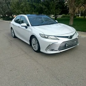 Toyota Camry 2019