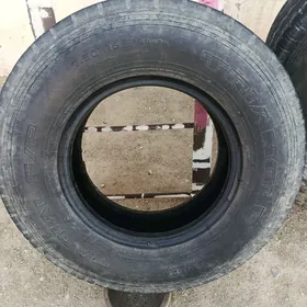 Ayak