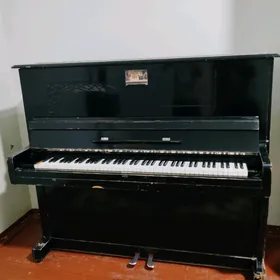pionina